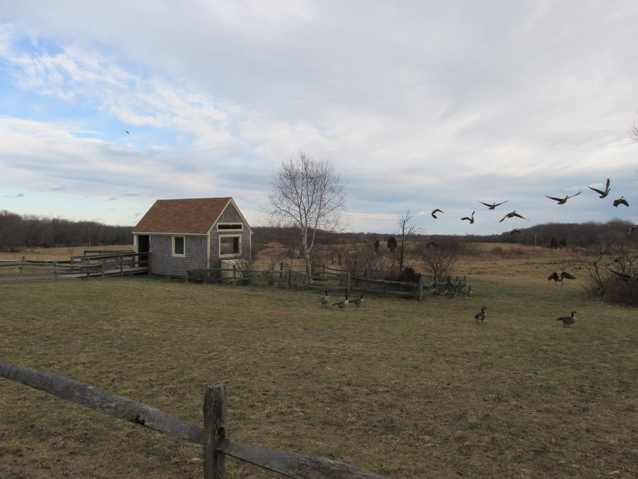 Landscape at Daniel Webster Wildlife Sanctuary in Marshfield, Massachusetts