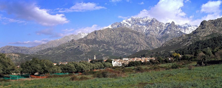 Panorama von Calenzana auf Korsika mit Olivenhainen
