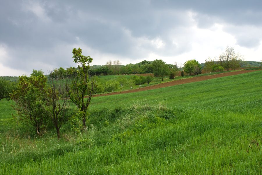 Landschaft im Nationalpark Fruška Gora bei Bukovac, Serbien