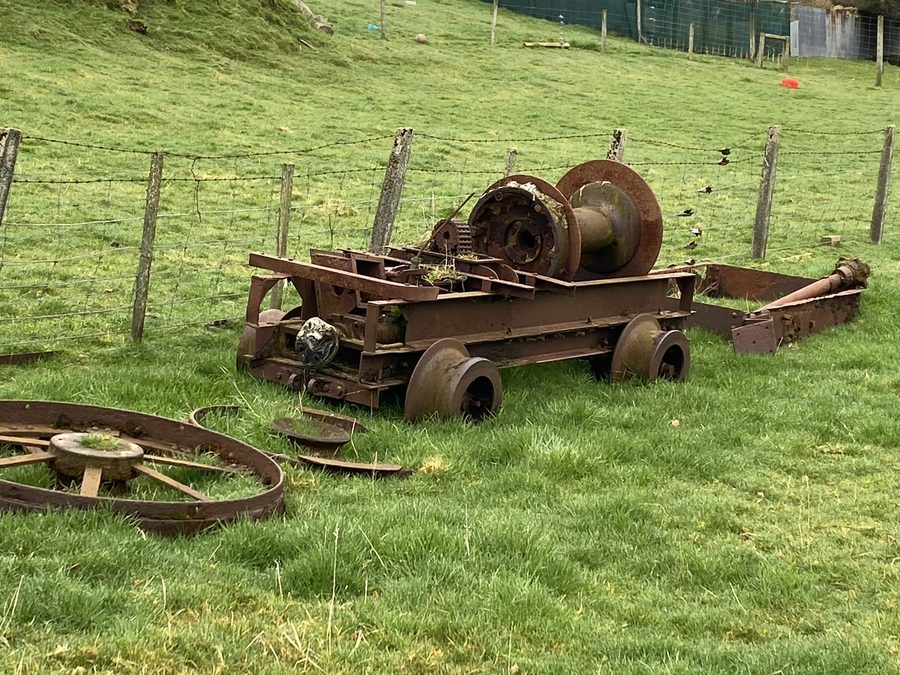 Resti del mondo del disboscamento di Tokanui