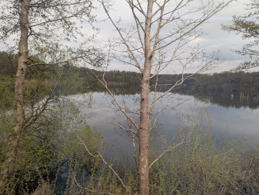 Blick auf den nördlichen Teil des Behler Sees in der Umgebung von Timmdorf