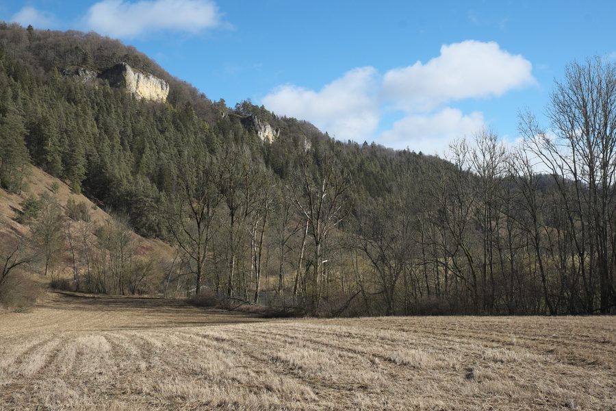 Felslandschaft und Donautal bei Mühlheim an der Donau