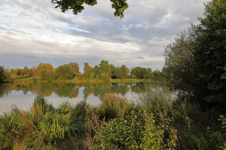 Rinderfelder See beim Niederstettener Ortsteil Rinderfeld