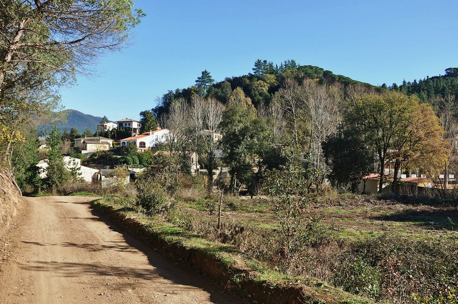 File:Cami de can montasell-vallgorguina-2012.JPG