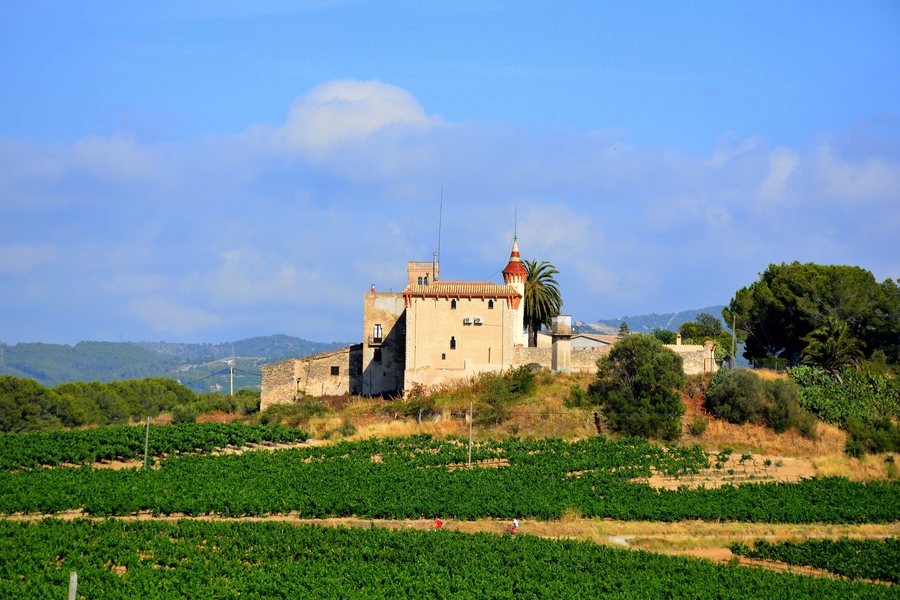 File:Estalella, la Munia, Castellví de la Marca. (25424369457).jpg