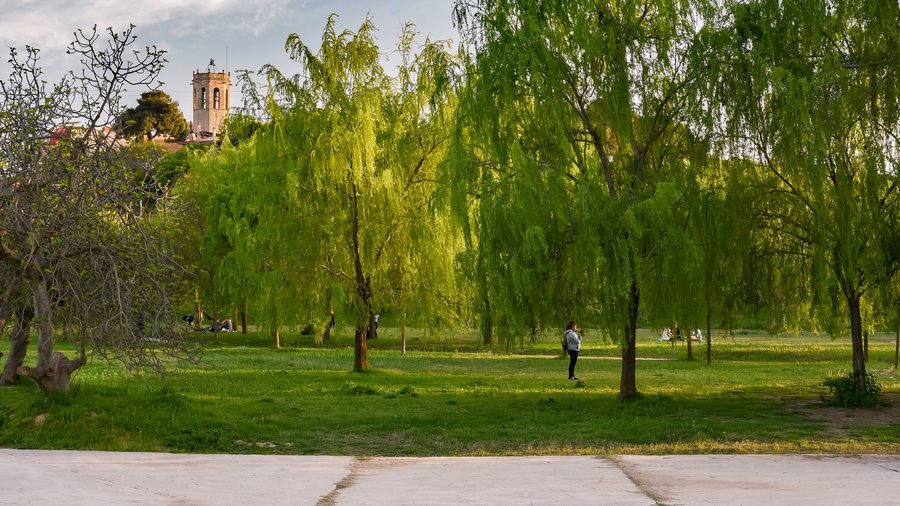 File:Parc fluvial de Sant Boi de Llobregat (51091344421).jpg
