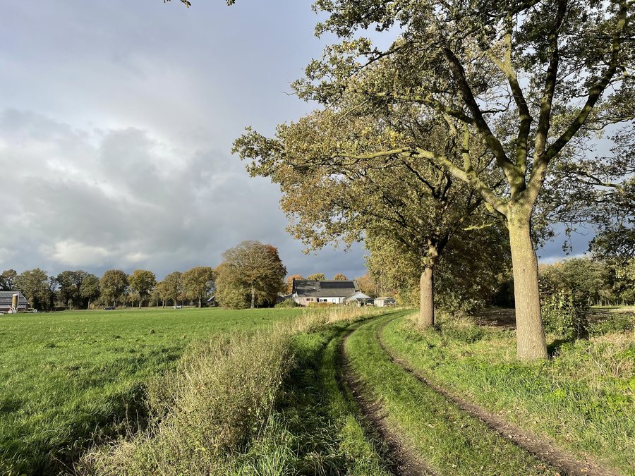 File:Netherlands, Ane (Gramsbergen), Anereschweg (01).jpg