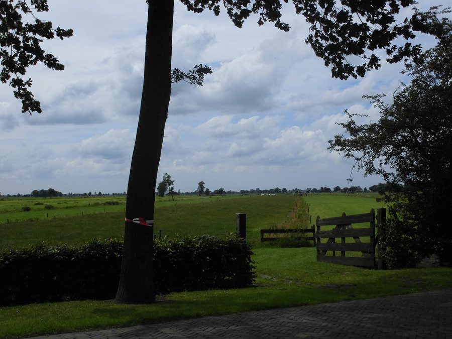 File:Veenweiden in Rouveen.JPG