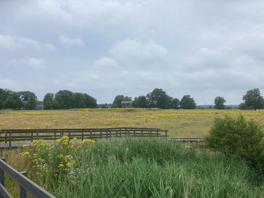 File:Gramsbergen Vechtpark Hardenberg Loozen Loozenlinie 04 32 58 346000.jpeg