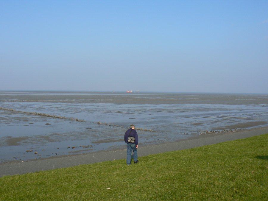 File:Uithuizermeeden.JPG