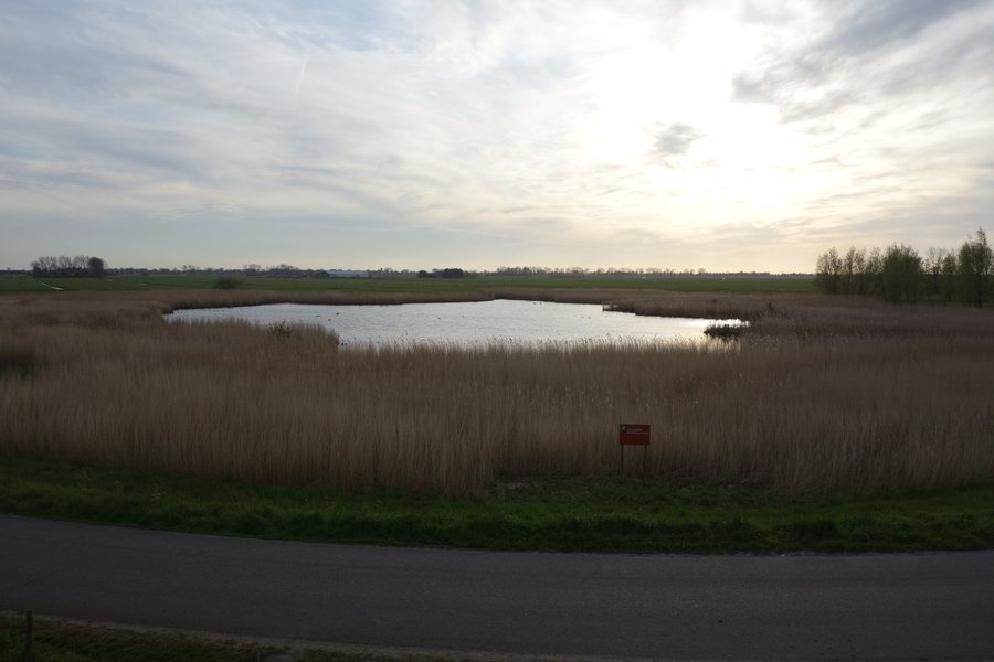 File:Moordenaarsbraak, Warder.jpg
