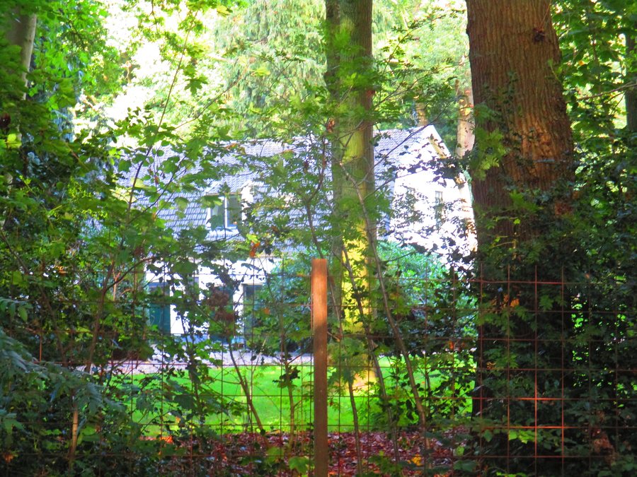 File:Hulshorst-harderwijkerweg-232452.jpg