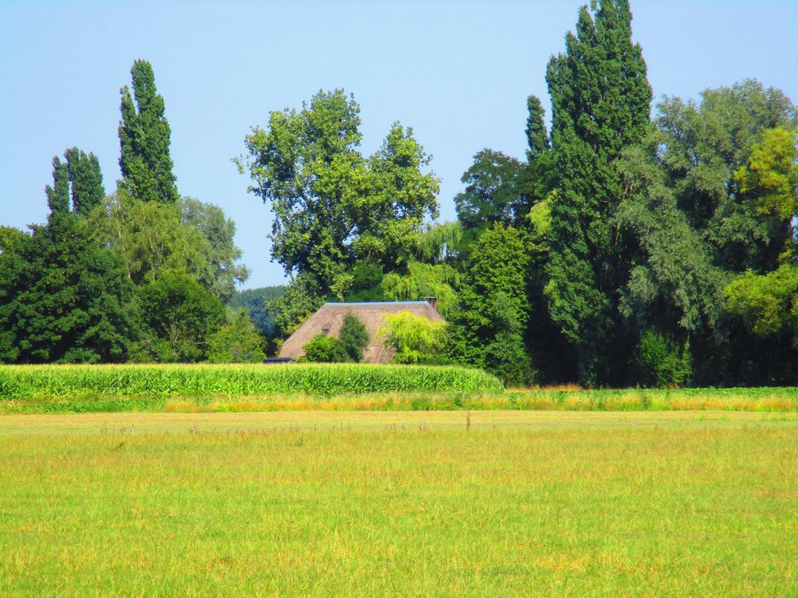 File:Terwolde-ossenkolkweg-221201.jpg