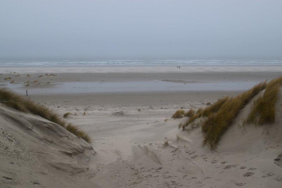 File:Terschelling DEC17; Beach at Formerum.jpg