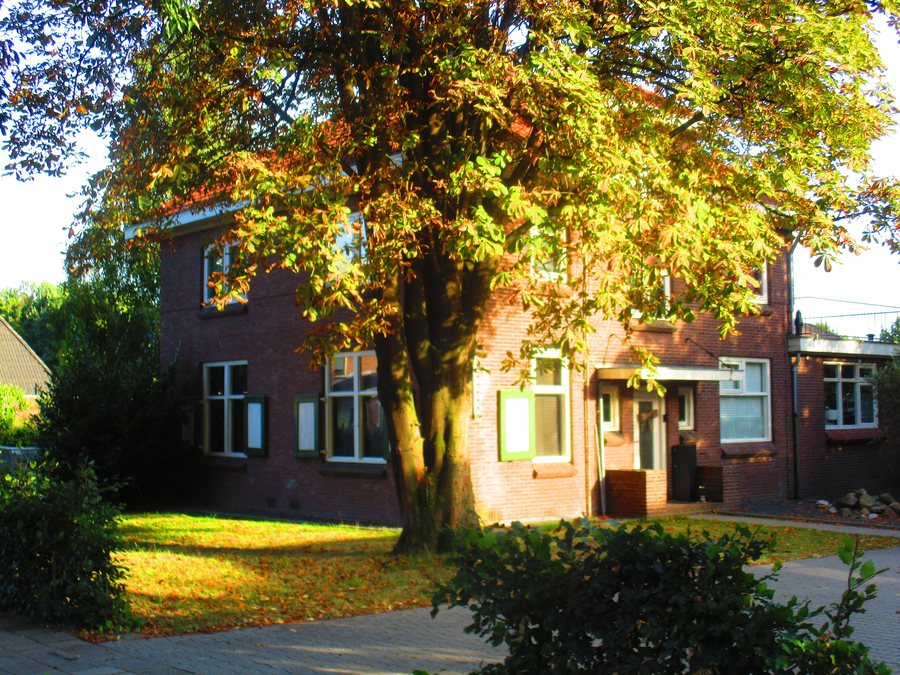 File:Lemelerveld-schoolstraat-254441.jpg