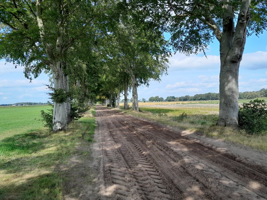 File:Wandelnetwerk 12Ellenweg Gees Nieuweroord 2.jpg