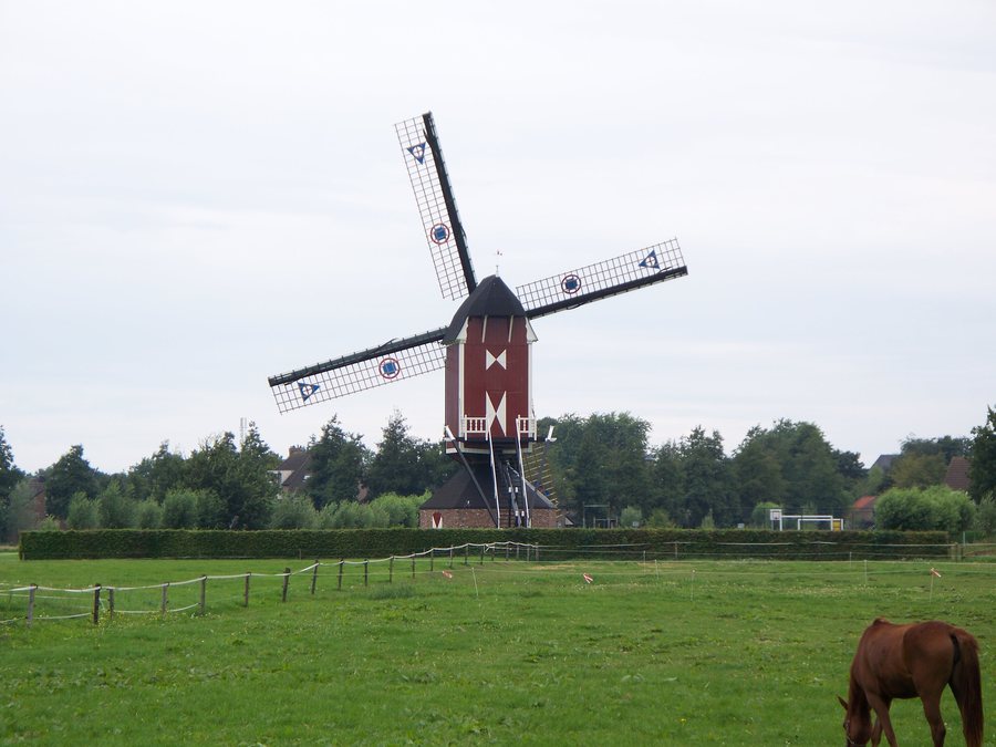 File:Molen zeldenrust geffen 01.JPG