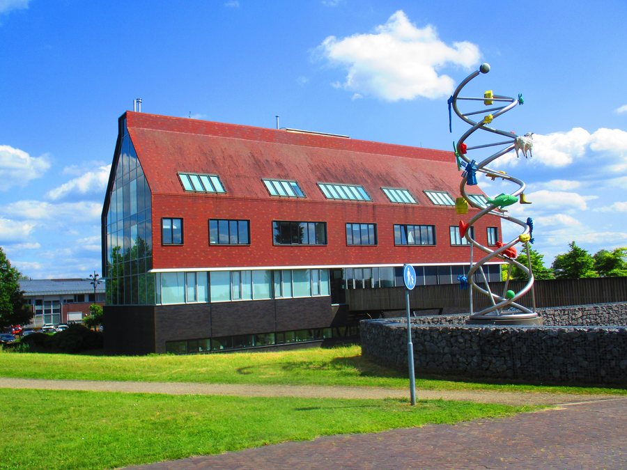 File:Wijhe gemeentehuis van Olst-Wijhe.jpg
