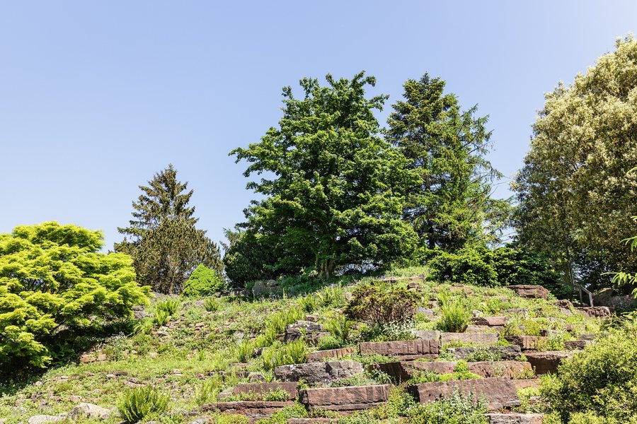 File:Hortus Haren (Groningen) 19-05-2024. (actm.) 06.jpg