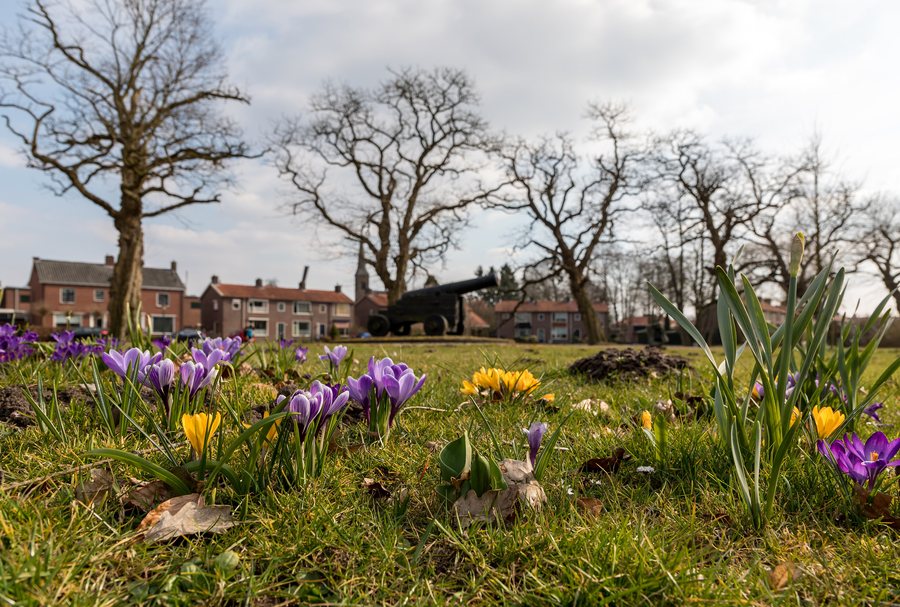 File:Bredevoort (NL) -- 2018 -- 1877.jpg