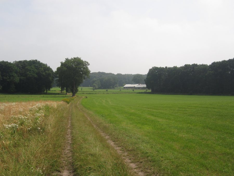 File:7663 Mander, Netherlands - panoramio (2).jpg