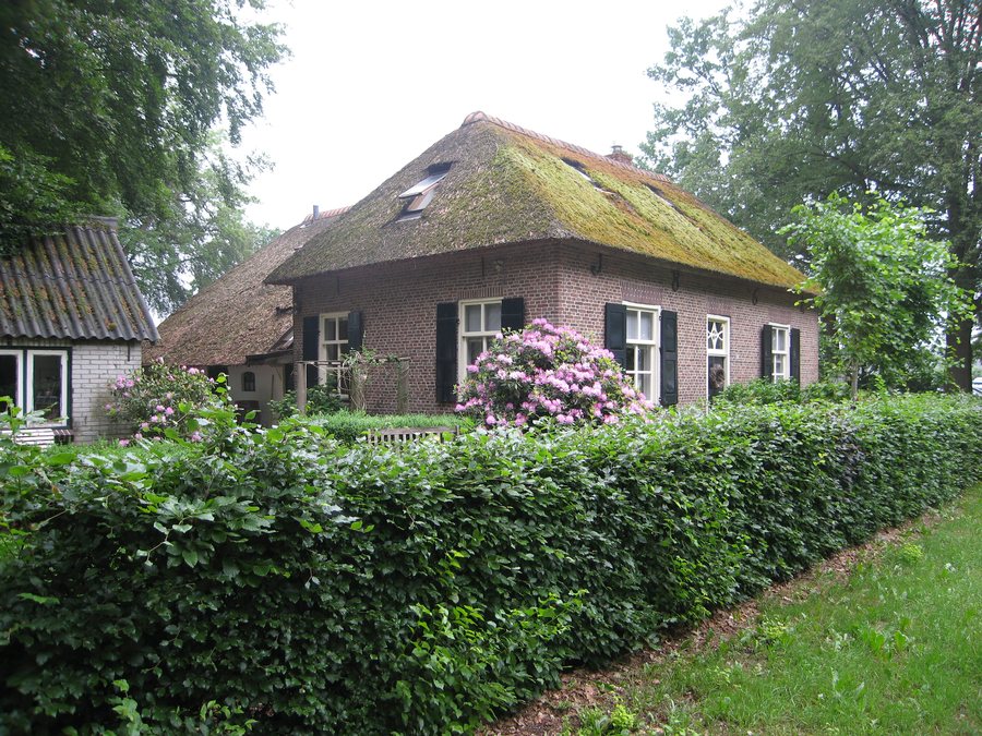 File:Garderen-apeldoornsestraat-184907.jpg