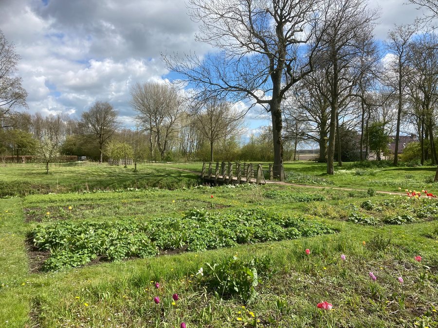 File:Kloostertuin Kloosterburen 21 01 12 470000.jpeg