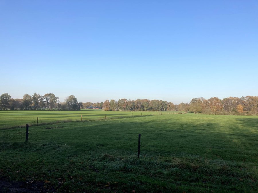 File:7708Hei.Heide.Schoonloo.Grollo.Boswachterij.Hart.Drenthe.jpg