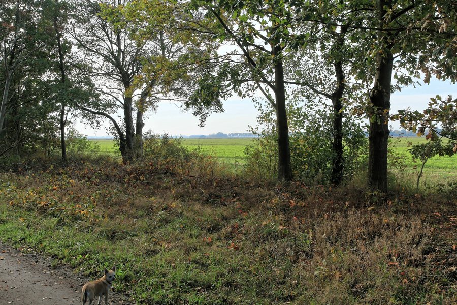 File:Rhede - Grenzweg + NL-Vlagtwedde 01 ies.jpg