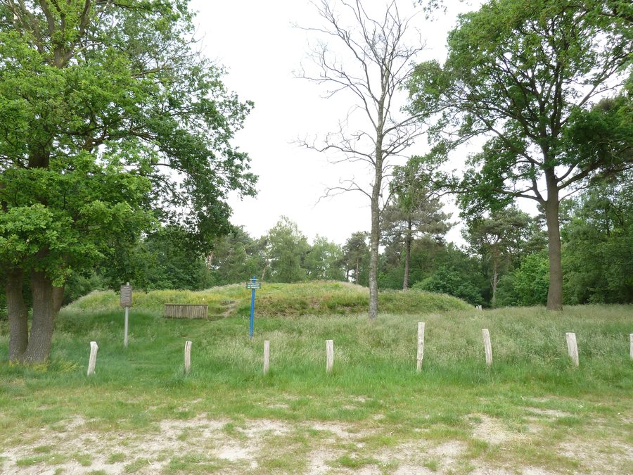 File:Hoogeloon-Zwarte Berg (1).JPG
