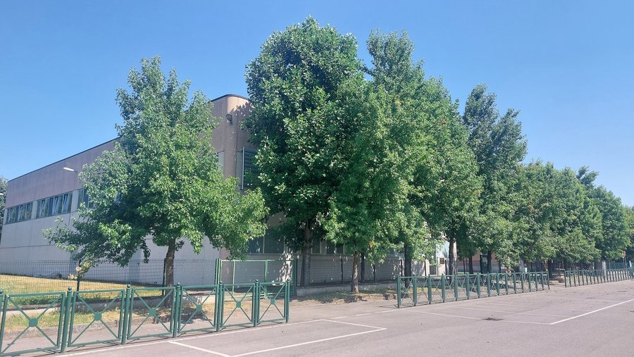 File:Colturano - Biblioteca Comunale di Colturano - 2025-09-12 16-08-43 001.jpg