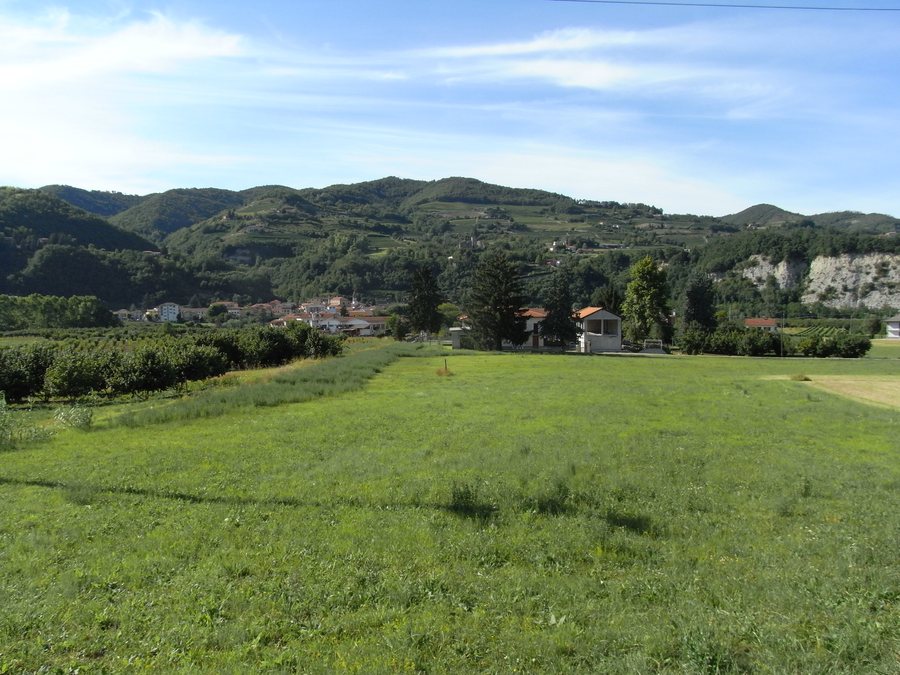 File:Vesime (13957164882).jpg