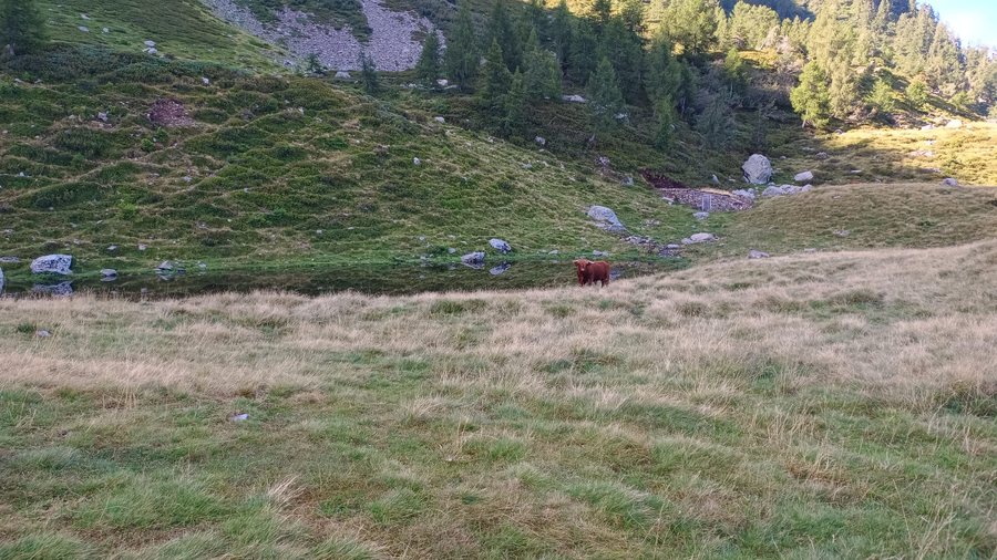 File:Laghetto Alpe Scoggione. Tra Colico e Delebio.jpg