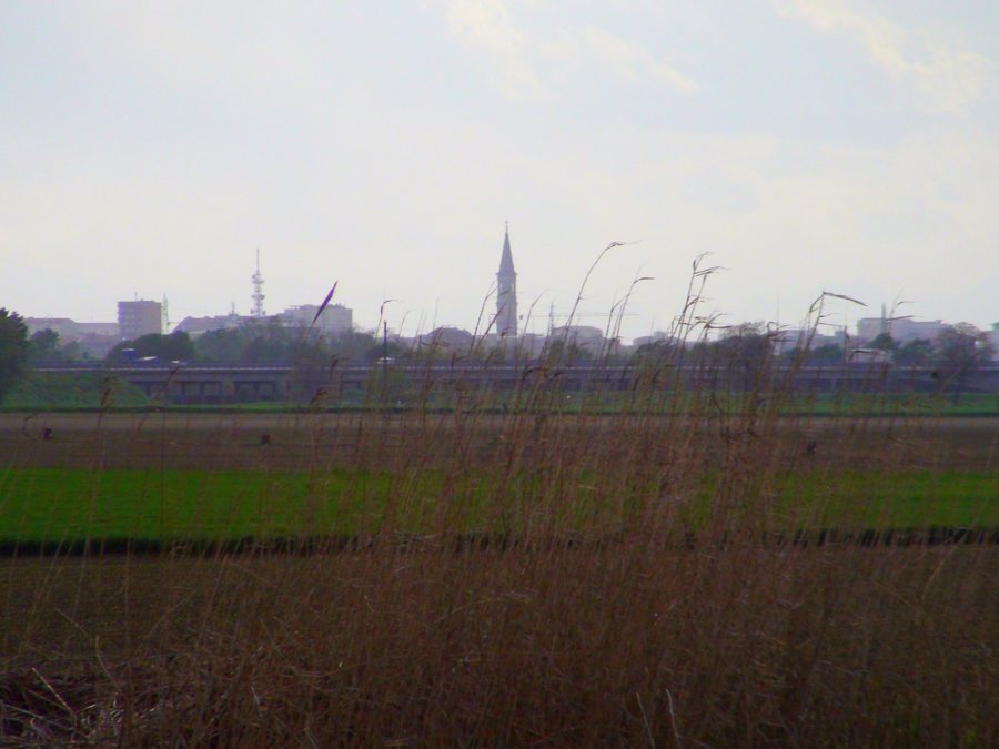 File:Alessandria vista dalle campagne di Lobbi - panoramio.jpg