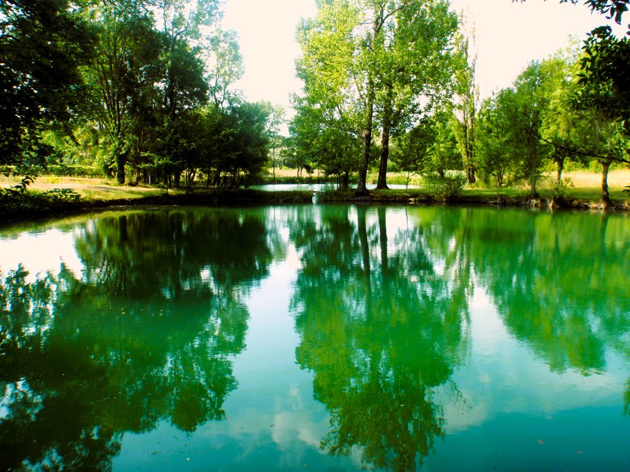 File:Oaza mira.jpg