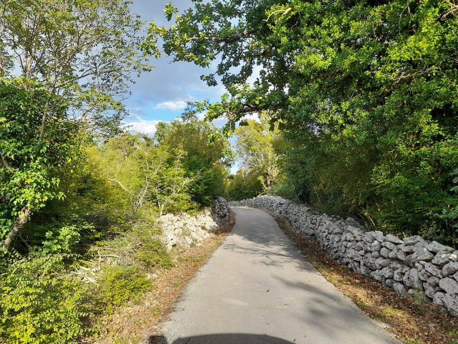 File:Primorski Dolac 20250927 01.jpg