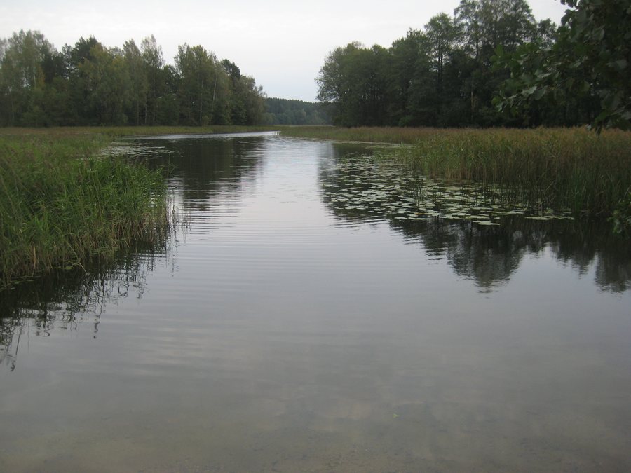 File:Ginučiai, Lithuania - panoramio (1).jpg