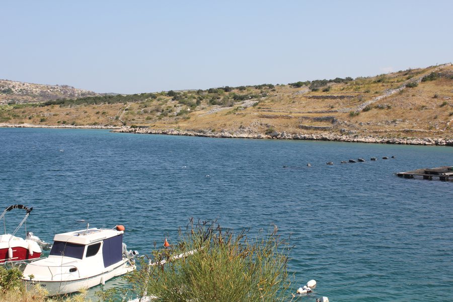 File:Općina Rogoznica, Croatia - panoramio (1).jpg