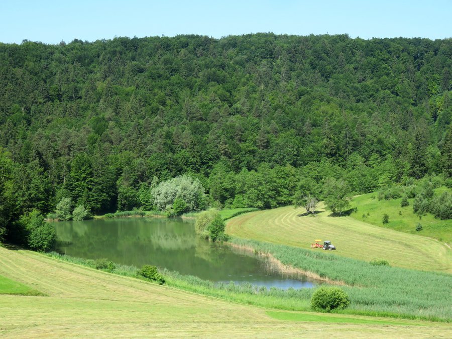 File:Dobje Grosuplje Slovenia - pond.jpg