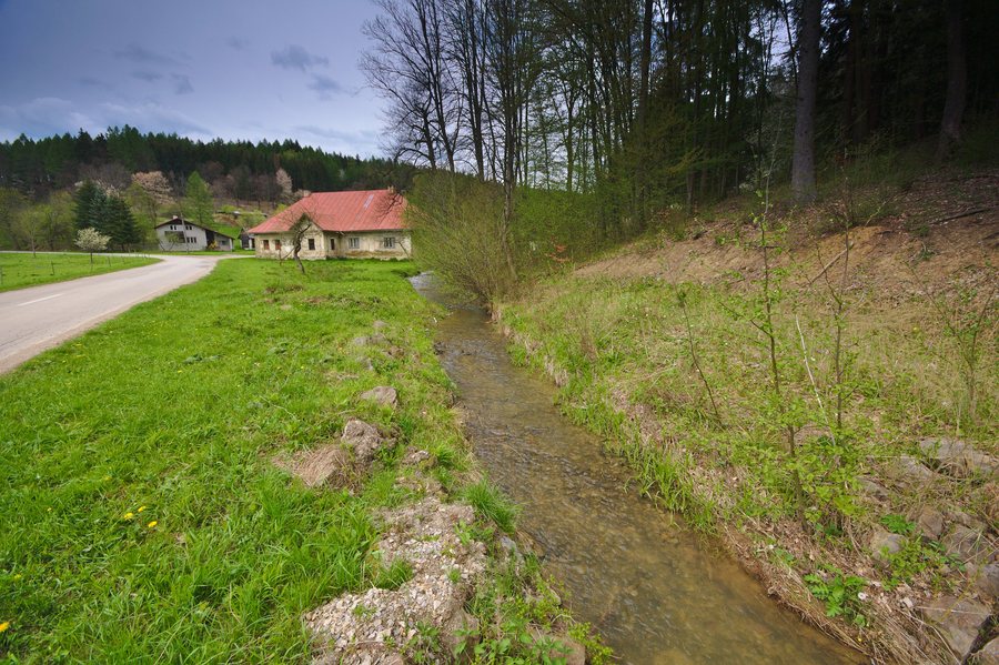 File:Bezejmenný potok v osadě Zápechová, Červený Kameň, okres Ilava.jpg
