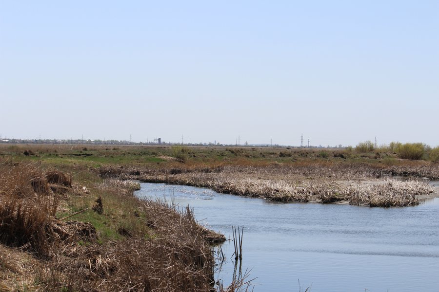 File:Bukhar-Zhyrau District, Kazakhstan - panoramio (2).jpg