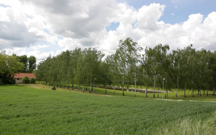 File:Otmarov - rybníček.jpg