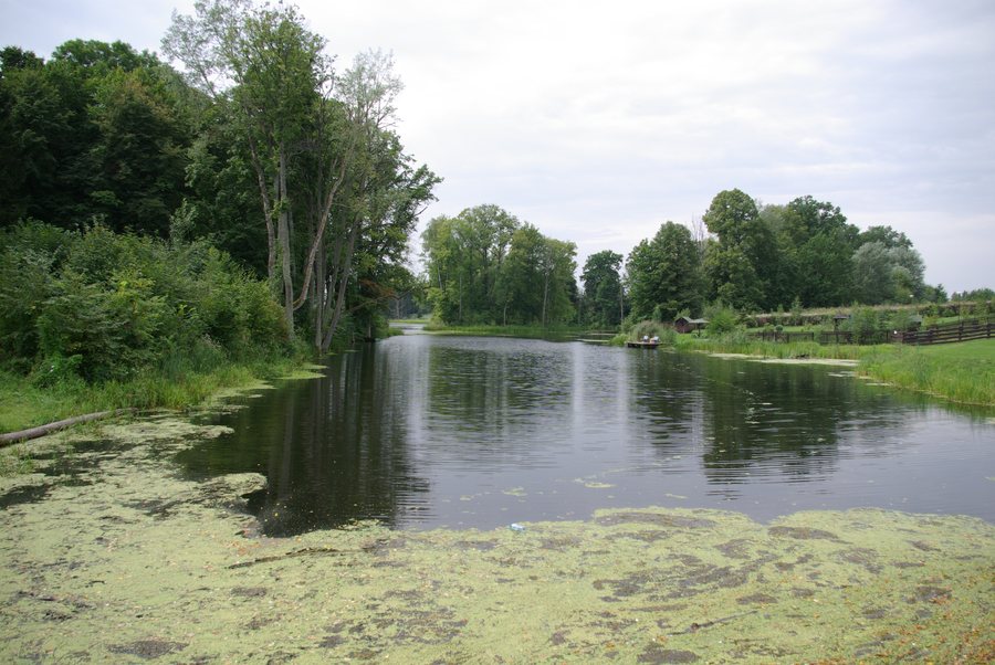 File:Ołownik 002.JPG