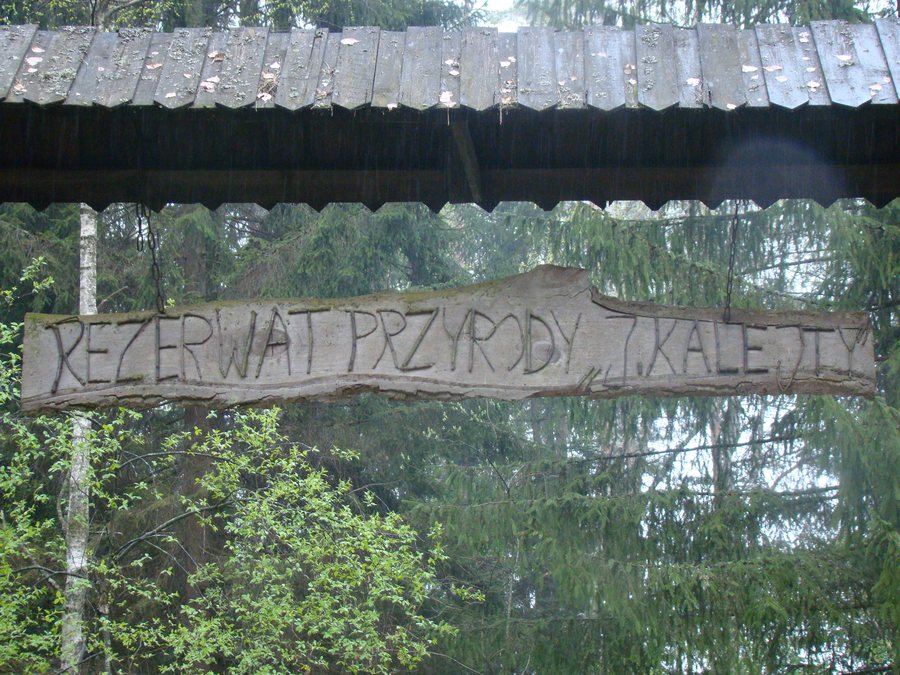 File:Strękowizna, brama do rezerwatu - panoramio.jpg