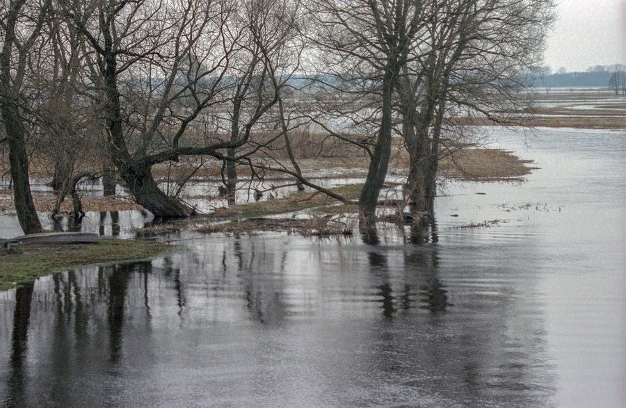 File:Biebrza River at Goniądz 01(js), Poland.jpg