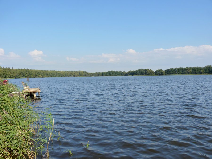 File:Kobylec - Jezioro Kobyleckie - panoramio.jpg