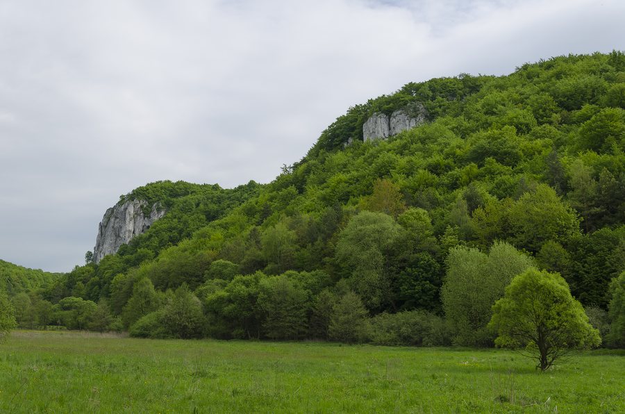File:Gmina Wielka Wieś, Poland - panoramio (1).jpg