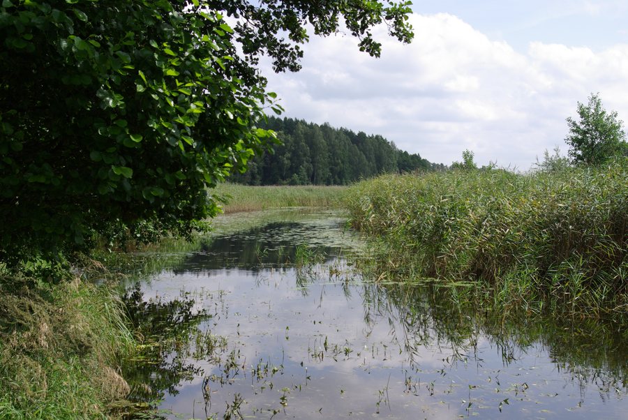 File:Przerwanki Sapina 003.JPG