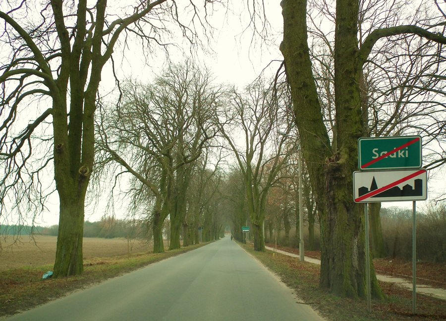 File:MOs810, WG 2015 54 Okonecczyzna (Aleja Sadki Sampstrzel).JPG