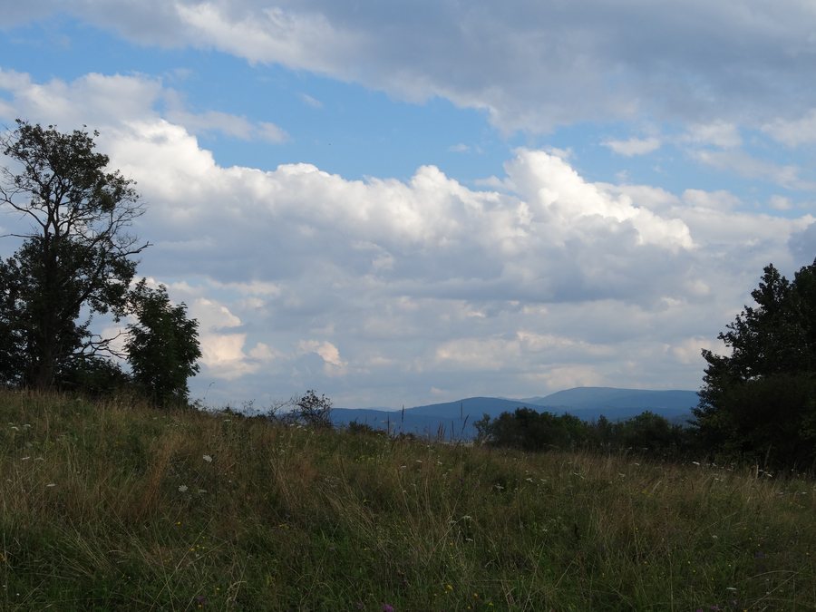 File:Gmina Bukowsko, Poland - panoramio (109).jpg